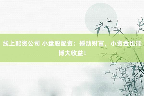 线上配资公司 小盘股配资：撬动财富，小资金也能博大收益！