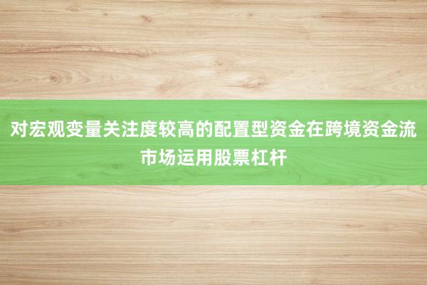 对宏观变量关注度较高的配置型资金在跨境资金流市场运用股票杠杆