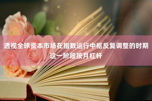 透视全球资本市场在指数运行中枢反复调整的时期这一阶段按月杠杆