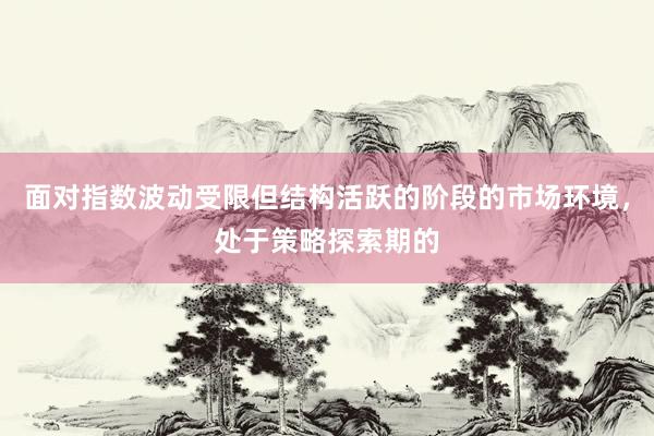 面对指数波动受限但结构活跃的阶段的市场环境，处于策略探索期的